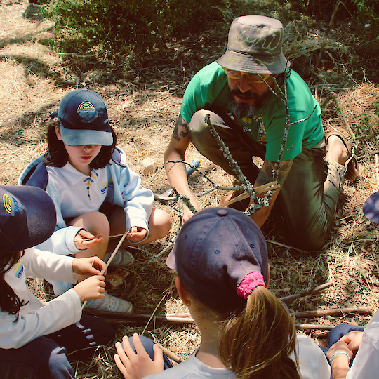 Construção Criativa